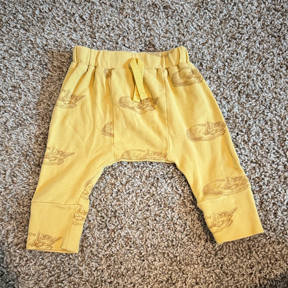Kate Quinn Panda pants
